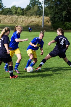 Bild 395 - Frauen TSV Gnutz - SG S�lfeld/Oe/Se/Stu : Ergebnis: 2:3
